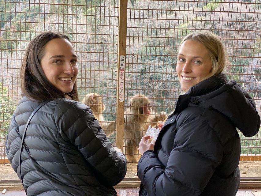 Kyoto: Afternoon Bamboo Forest and Monkey Park Bike Tour - Tenryuji Temple and its Zen gardens