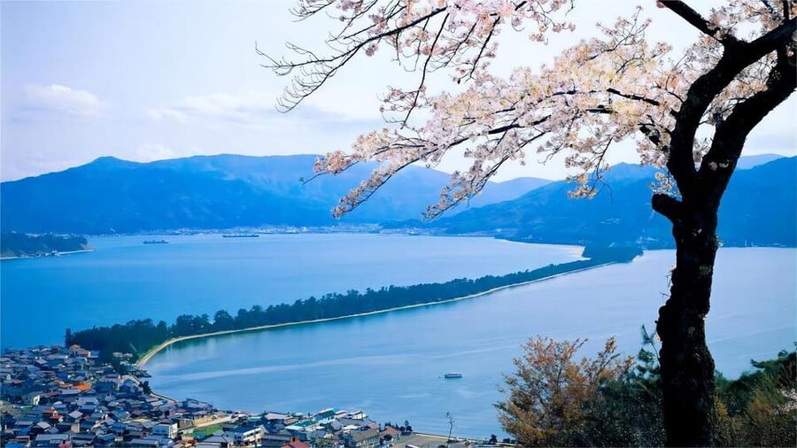 Kyoto: Amanohashidate Ine Funaya Tour - Why Amanohashidate is worth the long ride