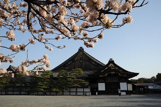 Kyoto and Nara Day Trip from Kyoto - Todai-ji and Nara’s Great Buddha