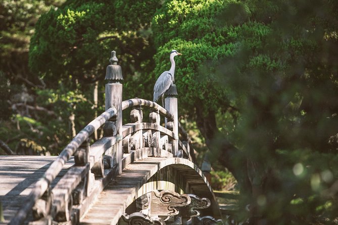 Kyoto and Nara Day Trip from Kyoto - Kasuga Grand Shrine and its thousands of lanterns