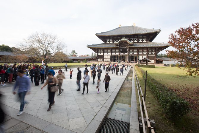 Kyoto and Nara Day Trip from Kyoto - Nara Park and the deer