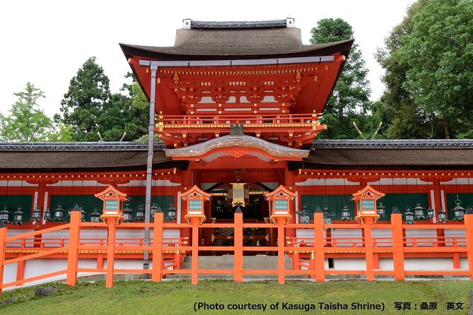Kyoto and Nara Day Trip from Osaka - A one-day route built around famous sights
