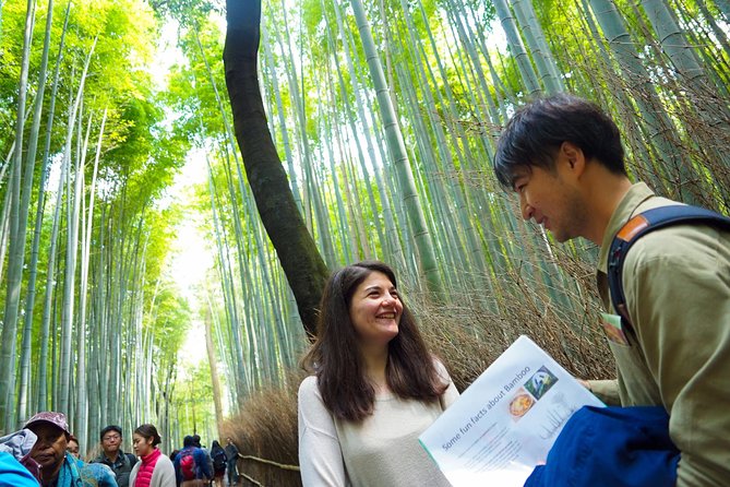 Kyoto Arashiyama Bamboo forest & Garden Half-Day Walking Tour - Why this Arashiyama walk feels different