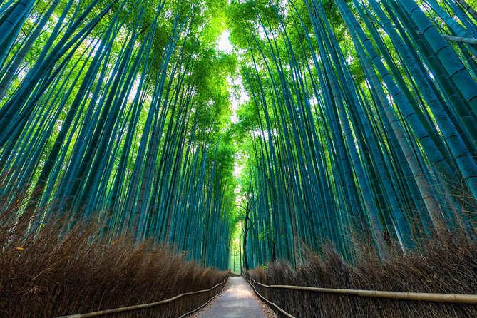 Kyoto Arashiyama Bamboo forest & Garden Half-Day Walking Tour - Exploring Sagaogurayama beyond the main route