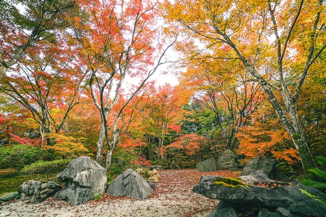 Kyoto Arashiyama Bamboo forest & Garden Half-Day Walking Tour - Okochi Sanso Garden and mountain views