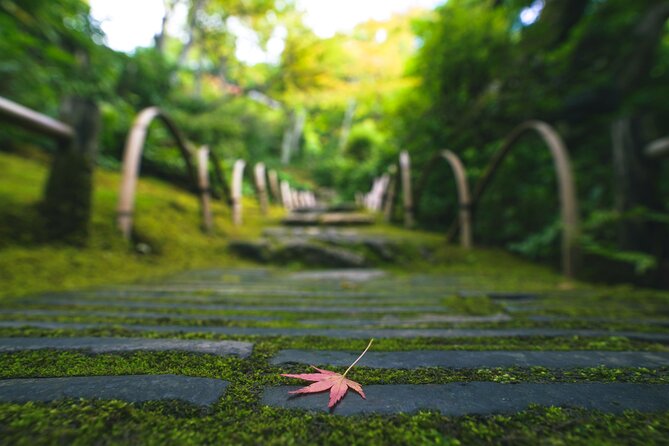 Kyoto Arashiyama Bamboo forest & Garden Half-Day Walking Tour - Tenryuji Temple and its Zen gardens