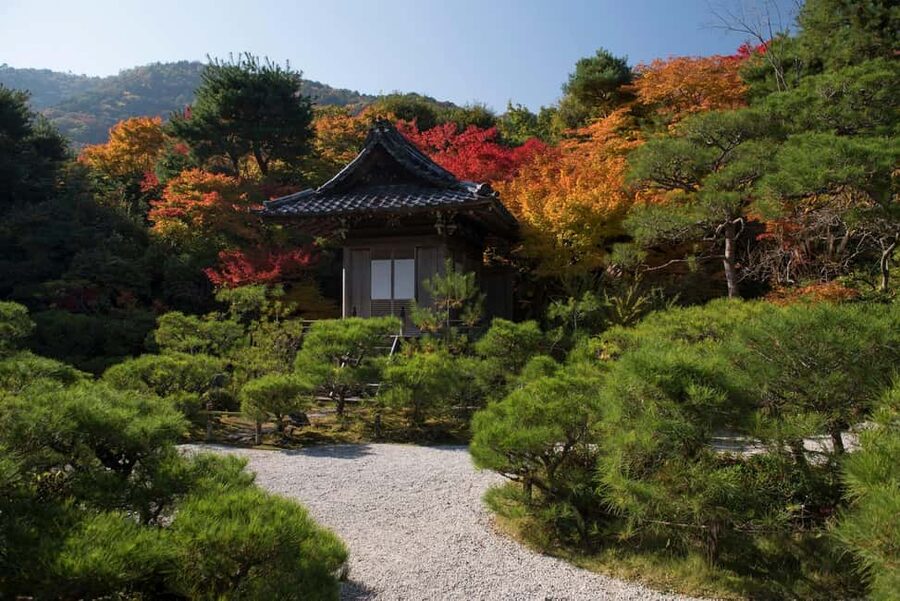 Kyoto: Arashiyama Bamboo, Togetsukyo bridge, Sanso, and more - Key points to know before you book