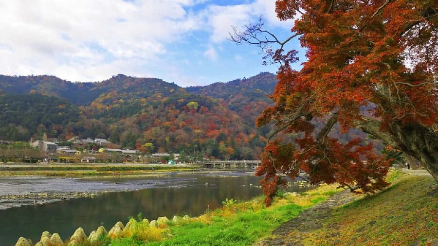 Kyoto: Arashiyama Bamboo, Togetsukyo bridge, Sanso, and more - Tenryuji Temple and its Zen garden