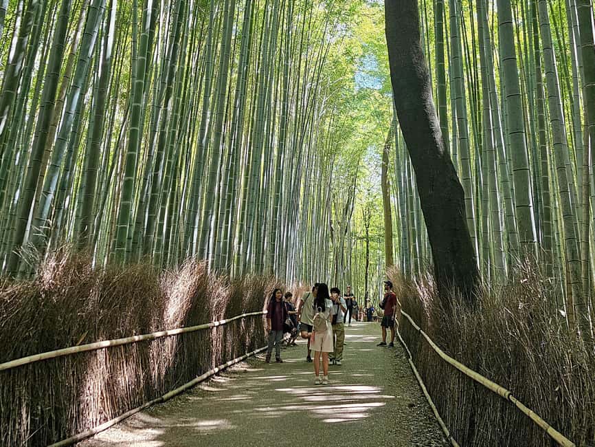 Kyoto: Arashiyama Bamboo, Togetsukyo bridge, Sanso, and more - Okochi Sanso Villa and its quiet gardens