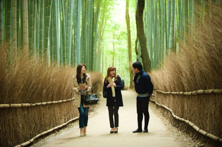 Kyoto: Arashiyama Customized Rickshaw Tour & Bamboo Forest - What the guide adds to the ride