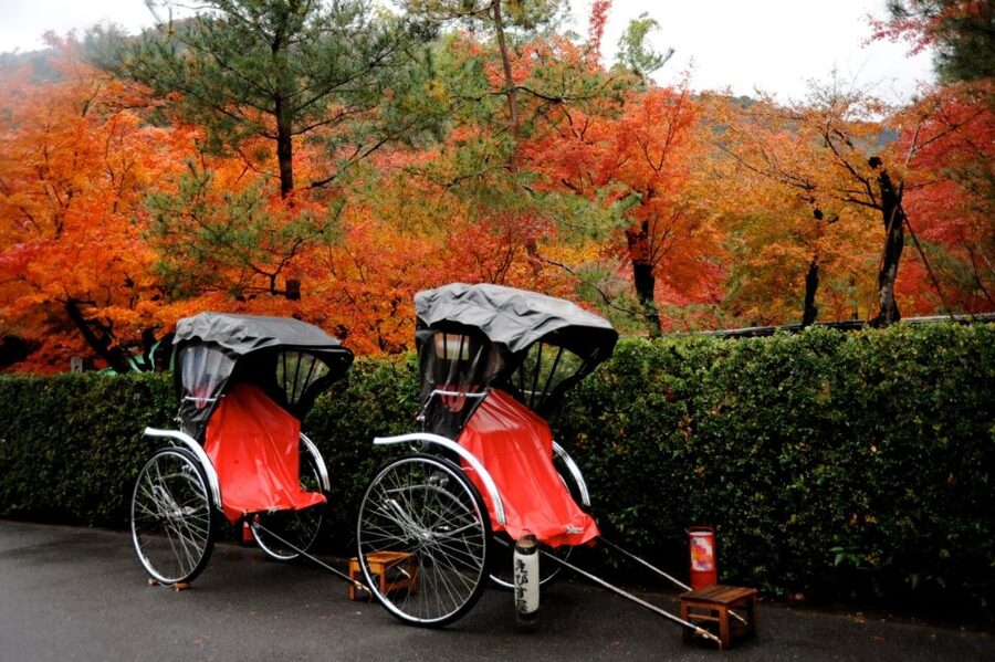 Kyoto: Arashiyama Customized Rickshaw Tour & Bamboo Forest - Is $51 a fair price?