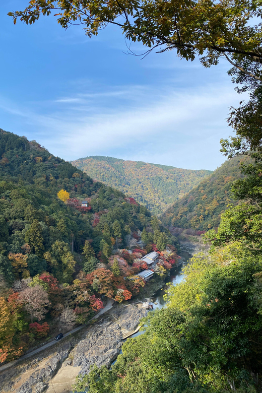 Kyoto: Arashiyama Guided Tour, Bamboo, Monkey, Zen Temple - Tenryu-ji and its carefully planned gardens