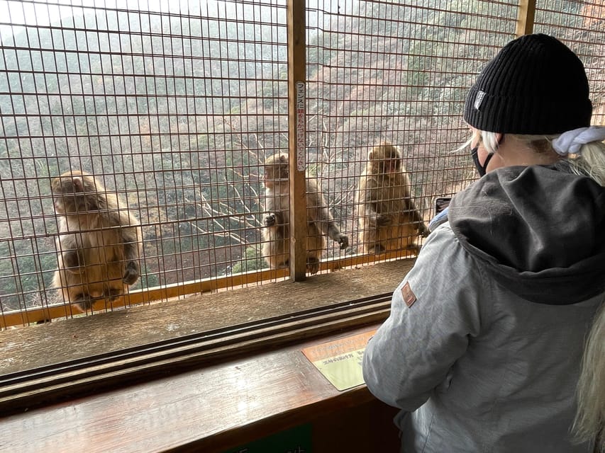 Kyoto: Arashiyama Guided Tour, Bamboo, Monkey, Zen Temple - Walking beneath Arashiyama’s bamboo