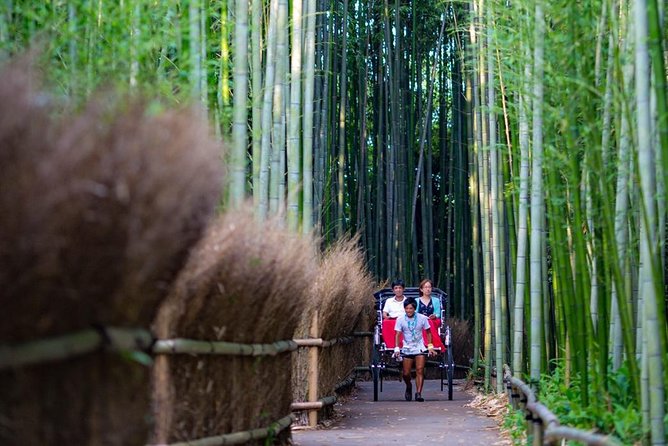 Kyoto Arashiyama Rickshaw Tour with Bamboo Forest - Walking into the most famous grove