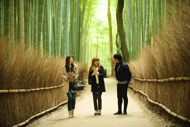 Kyoto Arashiyama Rickshaw Tour with Bamboo Forest - The bamboo forest from the rickshaw