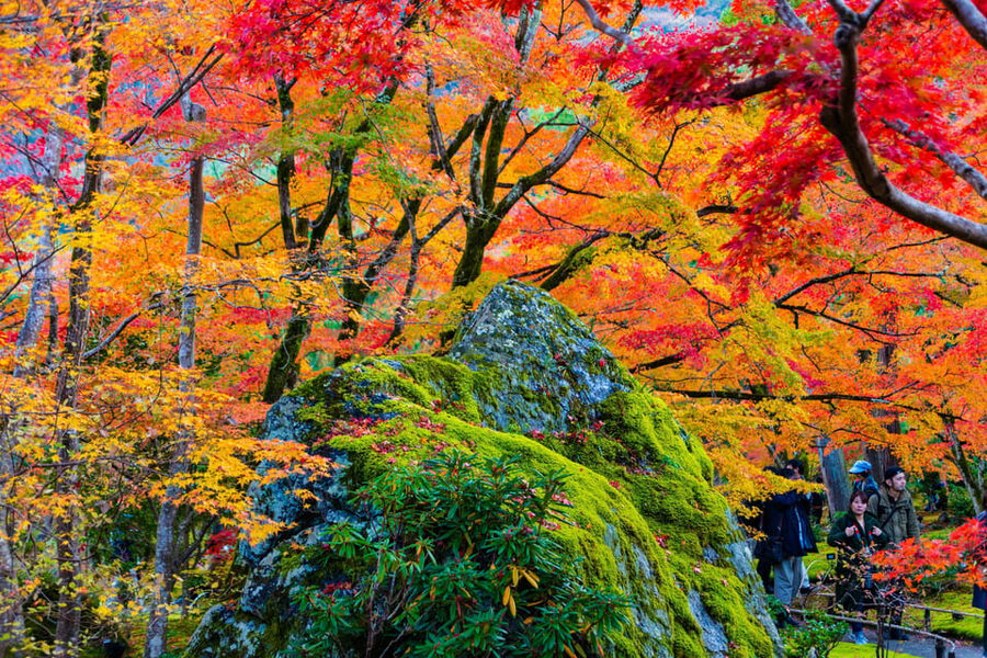 Kyoto: Arashiyama Tour with optional Sagano Romantic Train - Key points to know before booking