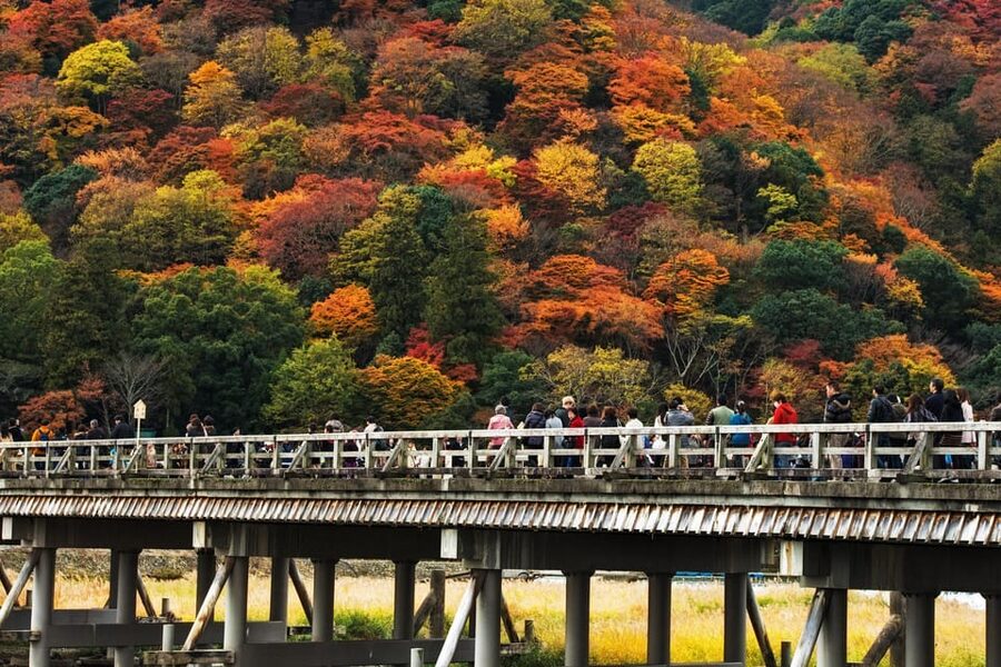 Kyoto: Arashiyama Tour with optional Sagano Romantic Train - The Sagano Romantic Train through Kyoto scenery