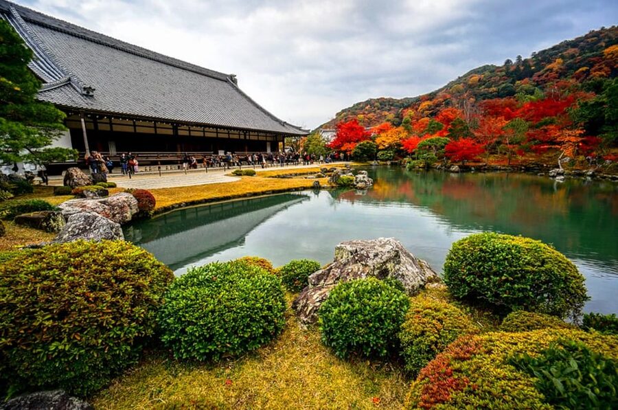 Kyoto: Arashiyama Tour with optional Sagano Romantic Train - Walking through the Arashiyama Bamboo Forest