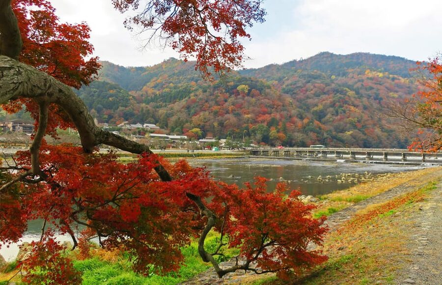 Kyoto: Arashiyama Tour with optional Sagano Romantic Train - Tenryu Temple and its Zen garden