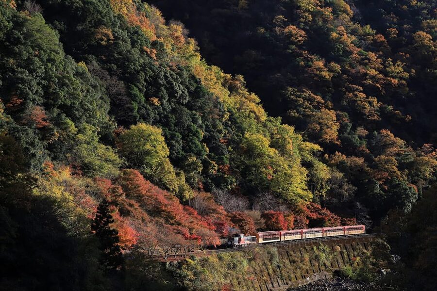 Kyoto: Arashiyama Tour with optional Sagano Romantic Train - Choosing between the train and walking options