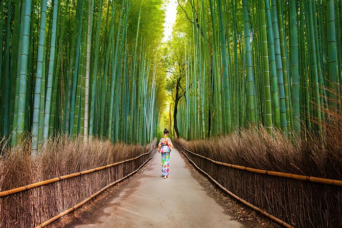 Kyoto Arashiyama Walking Tour: Bamboo, Monkeys, Gardens & Secrets - Why this Arashiyama walk works well