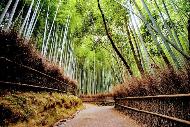 Kyoto Arashiyama Walking Tour: Bamboo, Monkeys, Gardens & Secrets - Walking the Bamboo Forest beyond the standard photo stop