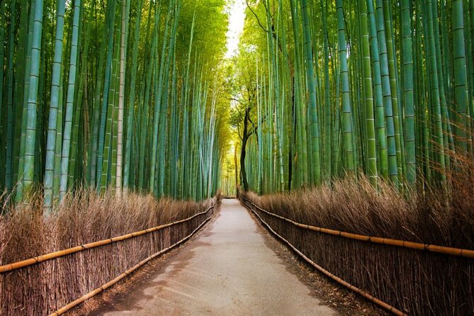 Kyoto Arashiyama Walking Tour: Bamboo, Monkeys, Gardens & Secrets - Togetsukyo Bridge and the Hozu River view