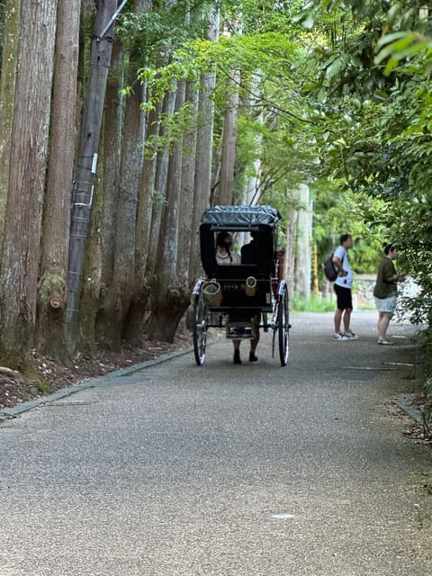 Kyoto: Avoid the Crowds at the Hidden Gems of Arashiyama - Key points at a glance
