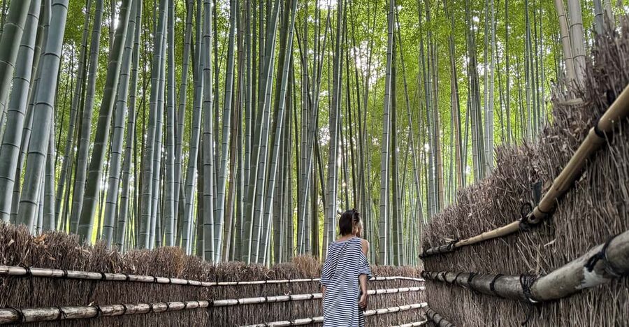 Kyoto: Avoid the Crowds at the Hidden Gems of Arashiyama - Togetsu Bridge and the Arashiyama Park viewpoint