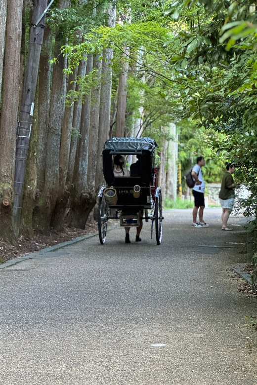 Kyoto: Avoid the Crowds at the Hidden Gems of Arashiyama - Meeting at Saga Arashiyama Station