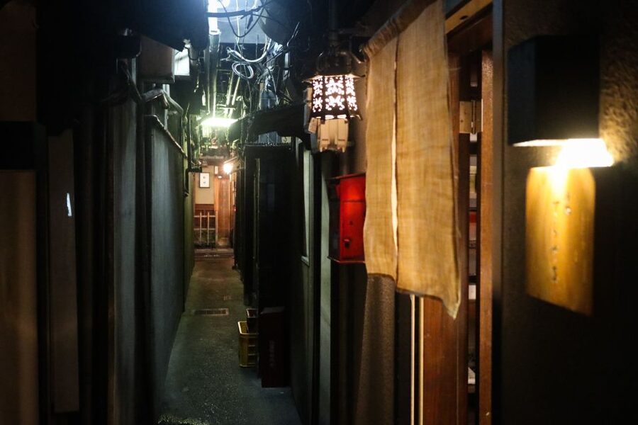 Kyoto : Bar Hopping Tour in Pontocho Alley at Night - Should You Book This Pontocho Bar Tour?