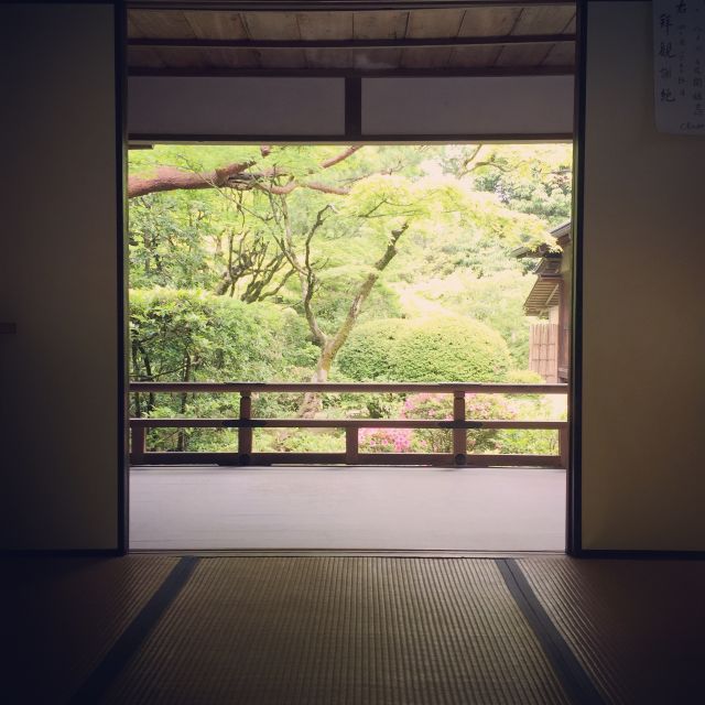 Kyoto: City Secrets eBike Tour - Why an e-bike is a smart way to see Kyoto