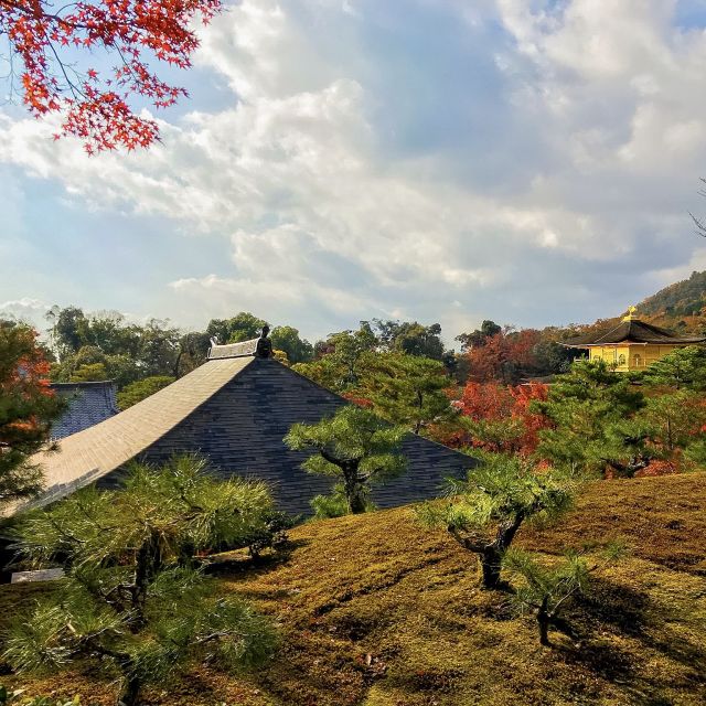 Kyoto: City Secrets eBike Tour - Daitoku-ji and the quieter side of Zen