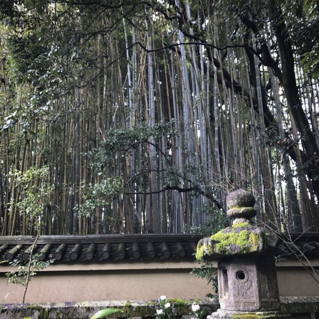 Kyoto: City Secrets eBike Tour - Tea, mochi, and the small details that make the day memorable