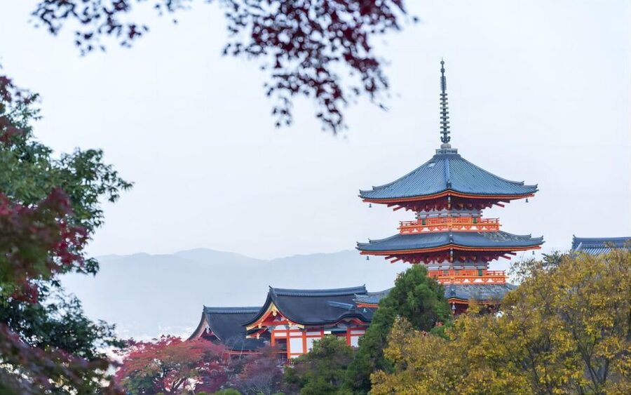 Kyoto: Customizable Full-Day Tour with Privarte Transfers - What $234 buys you in Kyoto