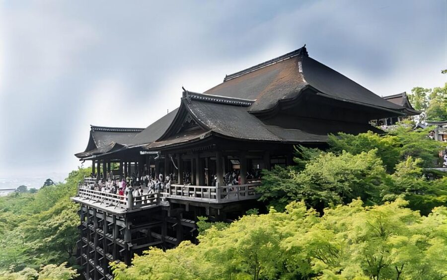 Kyoto: Customizable Full-Day Tour with Privarte Transfers - The pace, group size, and practical limits