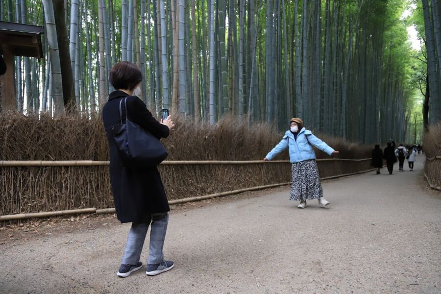 Kyoto Customized Private Tour: See Top Attractions in 1 Day - What the guide adds to the day