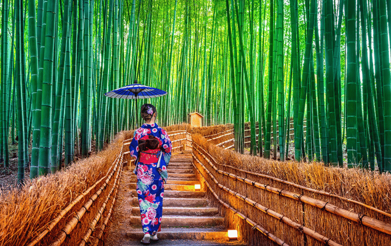 Kyoto Day Tour with Certified Tour Guide & Luxury vehicle - Key points at a glance