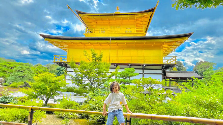 Kyoto Day Tour with Certified Tour Guide & Luxury vehicle - Nishiki Market: finish with food and local color
