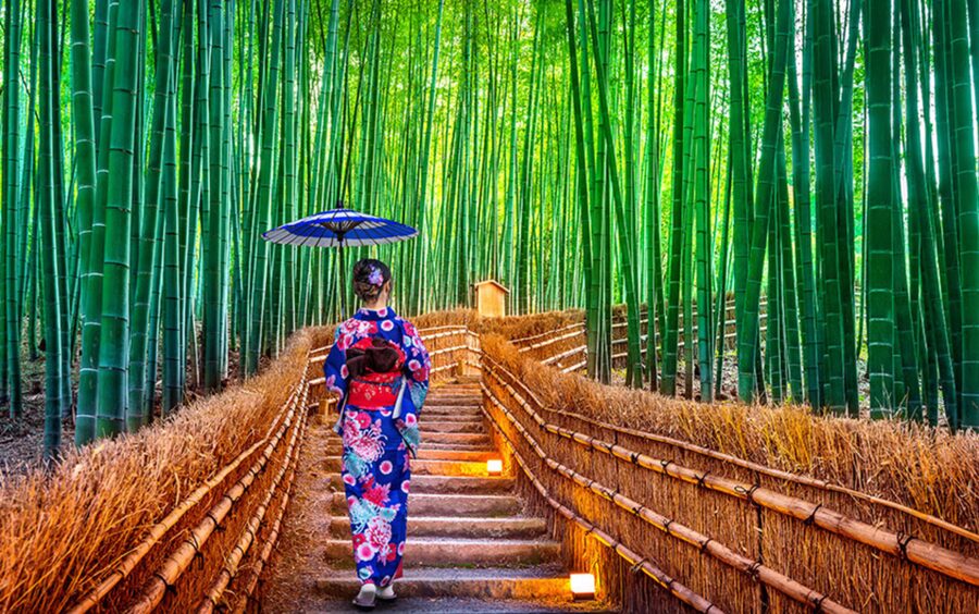 Kyoto Day Tour with Certified Tour Guide & Luxury vehicle - A private way to cover Kyoto’s big sights
