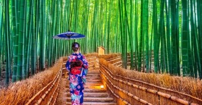 Kyoto Day Tour with Certified Tour Guide & Luxury vehicle