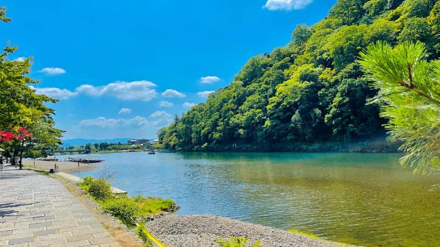 Kyoto Day Tour with Certified Tour Guide & Luxury vehicle - Gion: a short walk through Kyoto’s famous old district