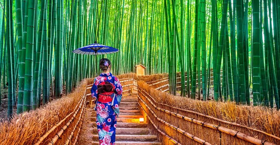 Kyoto Day Tour with Certified Tour Guide & Luxury vehicle - What the $490 group price really buys