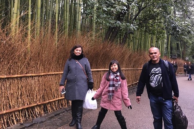 Kyoto Early Bird Walking Tour - What a private guide adds
