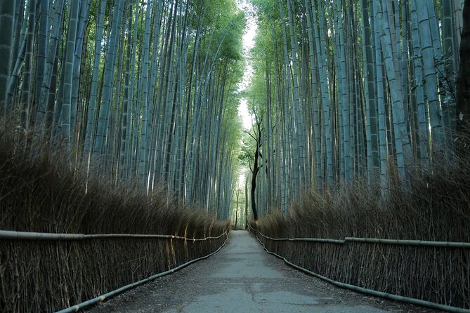 Kyoto: Early Morning Tour with English-Speaking Guide - Fushimi Inari: the right first stop
