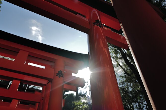Kyoto: Early Morning Tour with English-Speaking Guide - What the guide adds to the morning