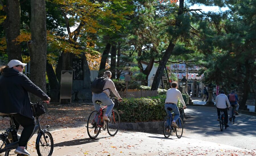 Kyoto: Full Day Bike Tour - Following the Kamo River into Gion