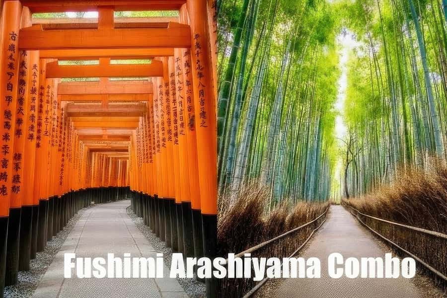 Kyoto: Fushimi, Arashiyama - Bamboo, Monkey, Torii & Secrets - Key points to know before booking