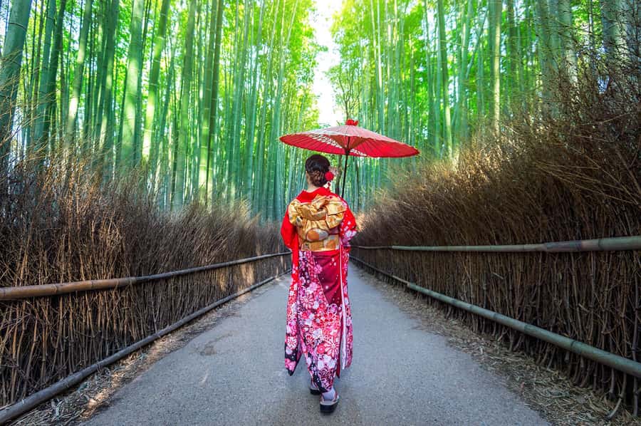 Kyoto: Fushimi, Arashiyama - Bamboo, Monkey, Torii & Secrets - Who will get the most from this Kyoto tour
