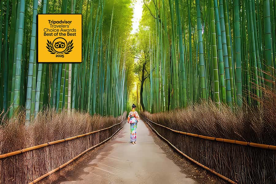 Kyoto: Fushimi, Arashiyama - Bamboo, Monkey, Torii & Secrets - Starting beneath Fushimi Inari’s red gates